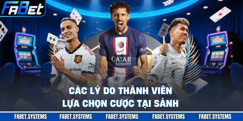 Các lý do thành viên lựa chọn cược tại sảnh
